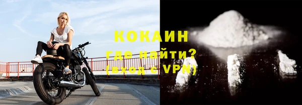 a pvp Бородино