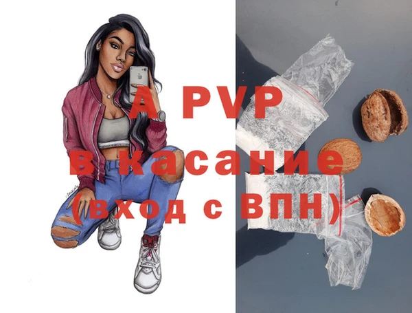 a pvp Бородино