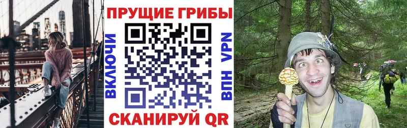 Псилоцибиновые грибы Psilocybe  Отрадная 